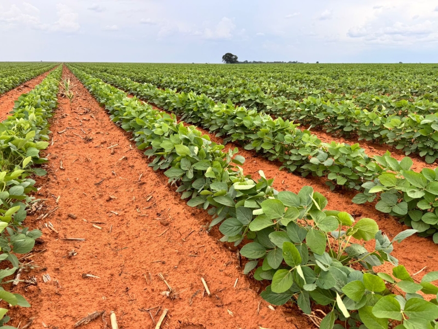 12 Bedroom Property for Sale in Bloemfontein Rural Free State